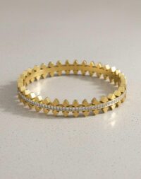 IMG-20251129-WA0027 (1)